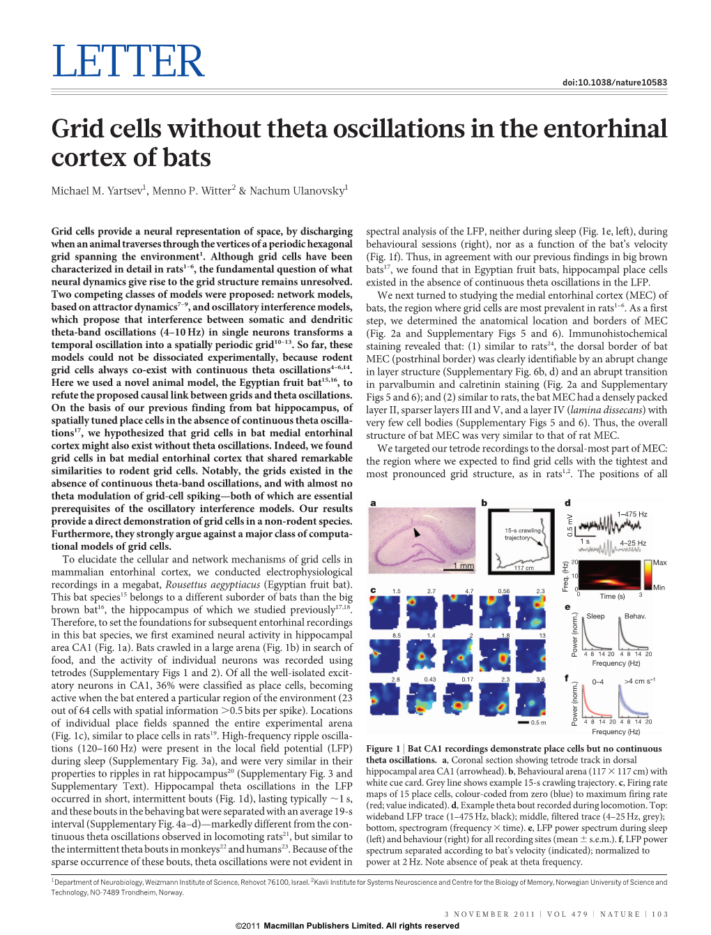 Grid Cells Without Theta Oscillations in the Entorhinal Cortex of Bats