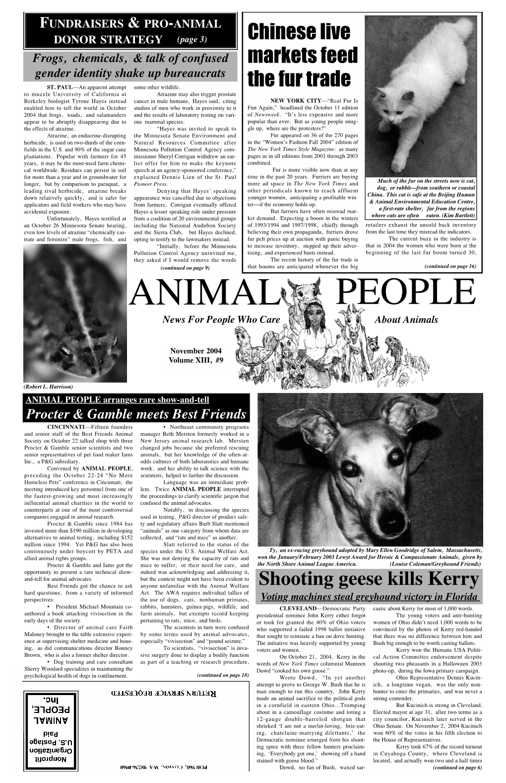 November 2004 Volume XIII, #9