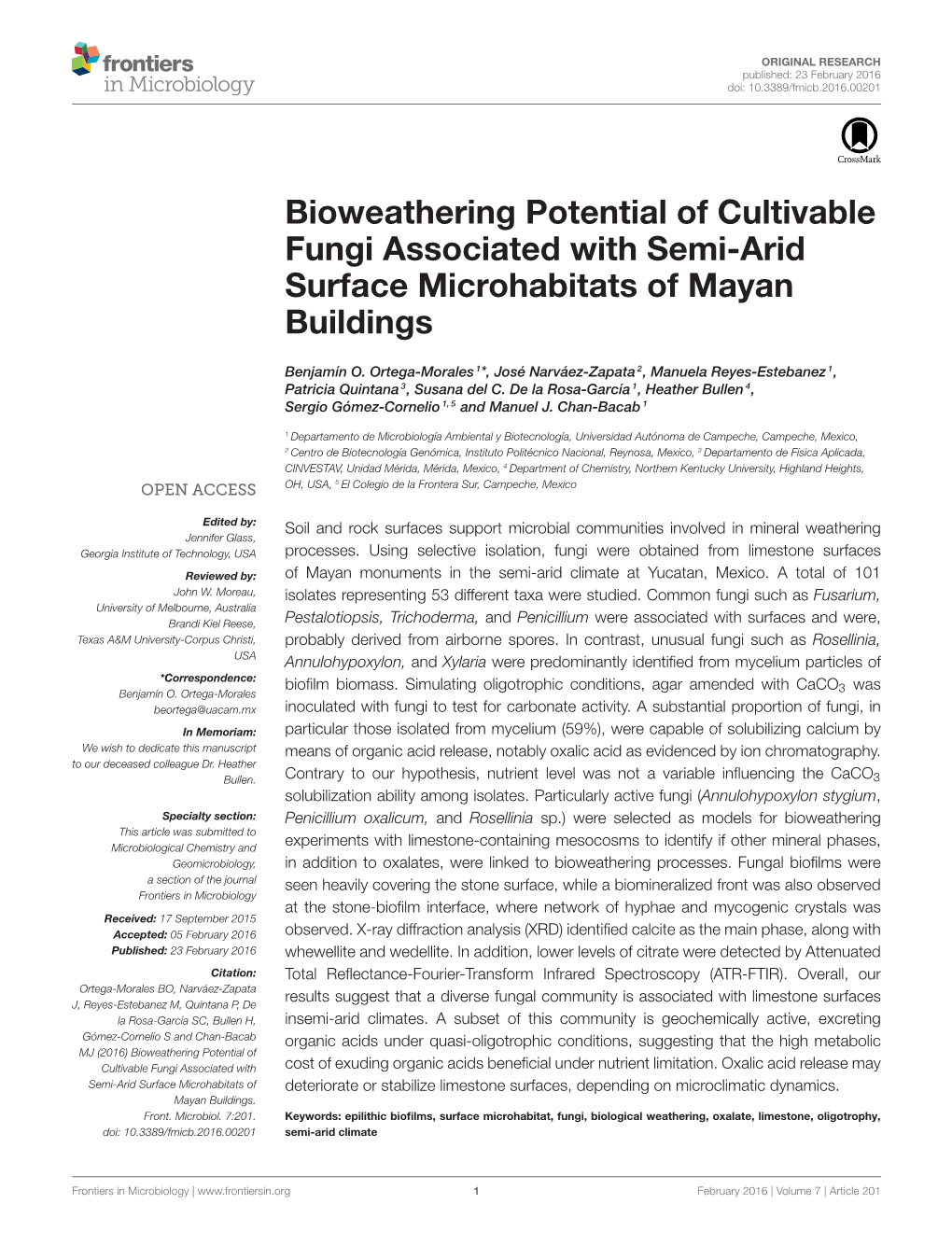 Bioweathering Potential of Cultivable Fungi Associated with Semi-Arid Surface Microhabitats of Mayan Buildings