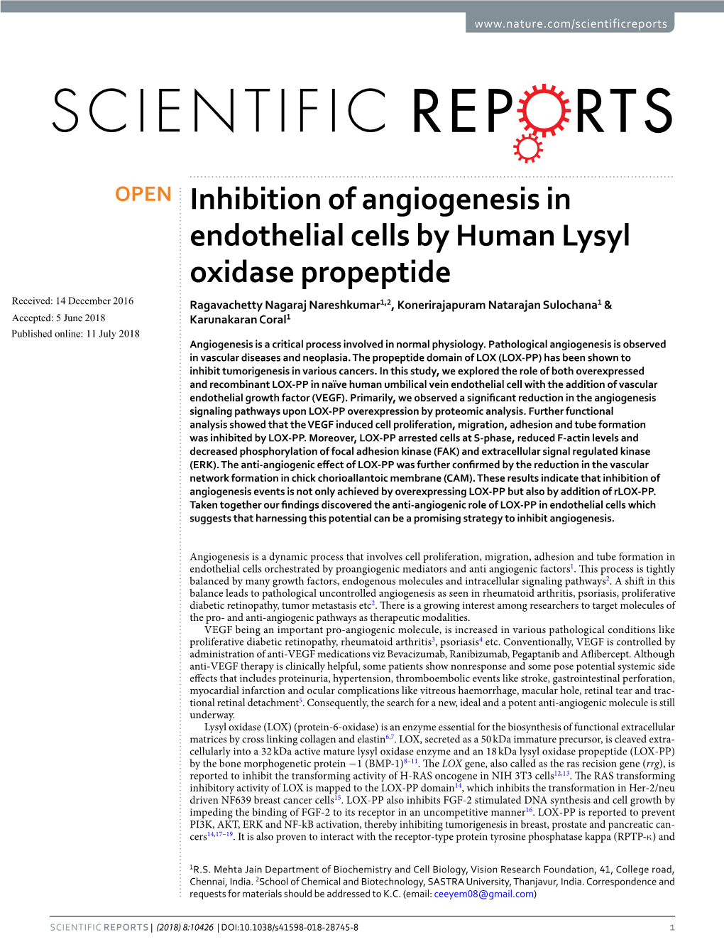 Inhibition of Angiogenesis in Endothelial Cells by Human Lysyl