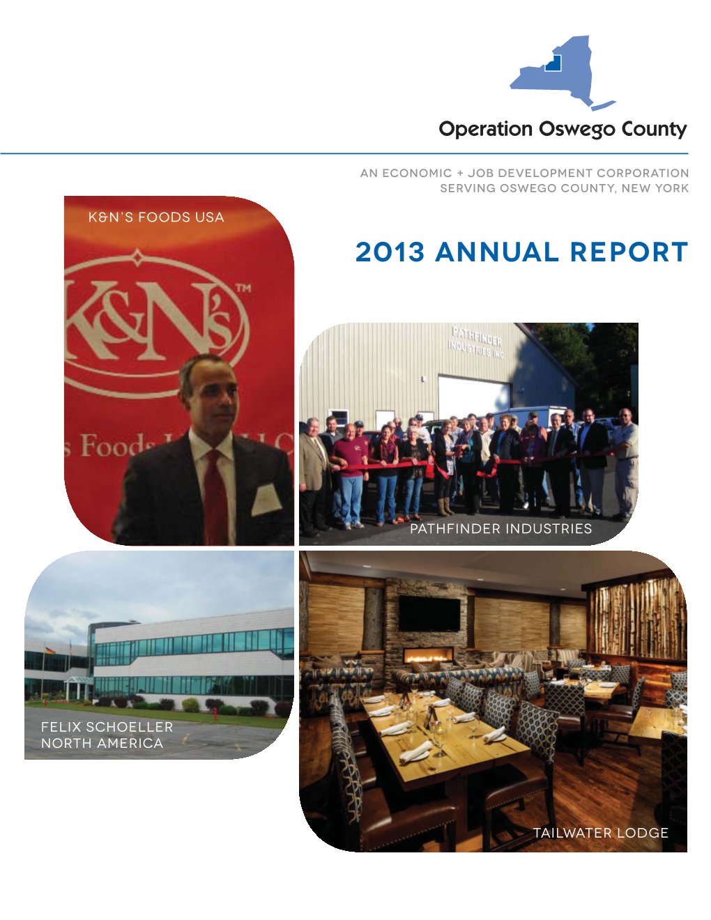 2013 Annual Report