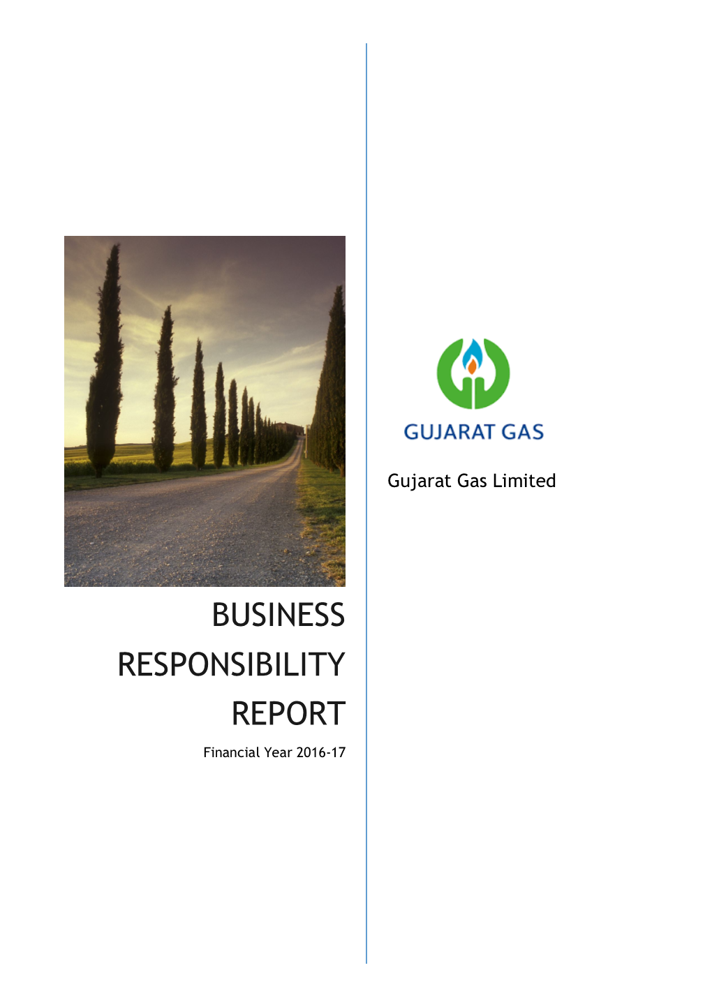 Business Responsibility Report