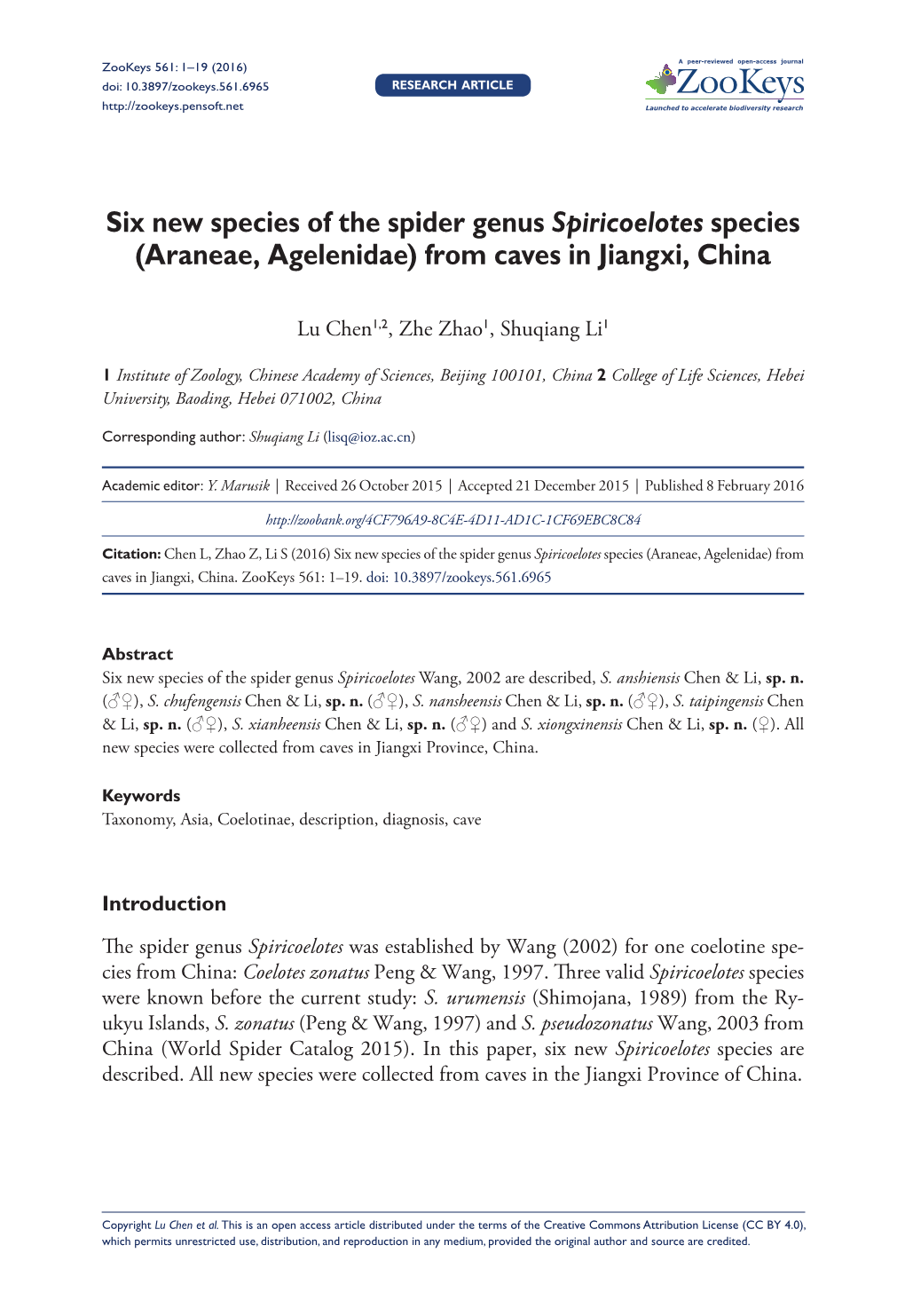 ﻿Six New Species of the Spider Genus Spiricoelotes Species (Araneae