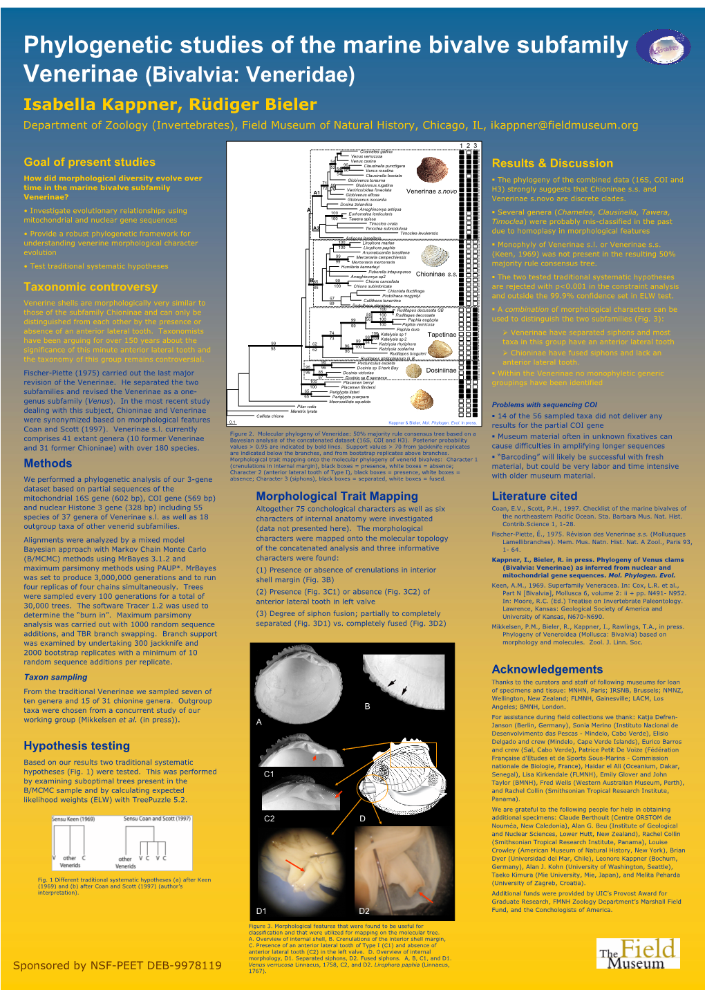 Phylogenetic Studies of the Marine Bivalve Subfamily