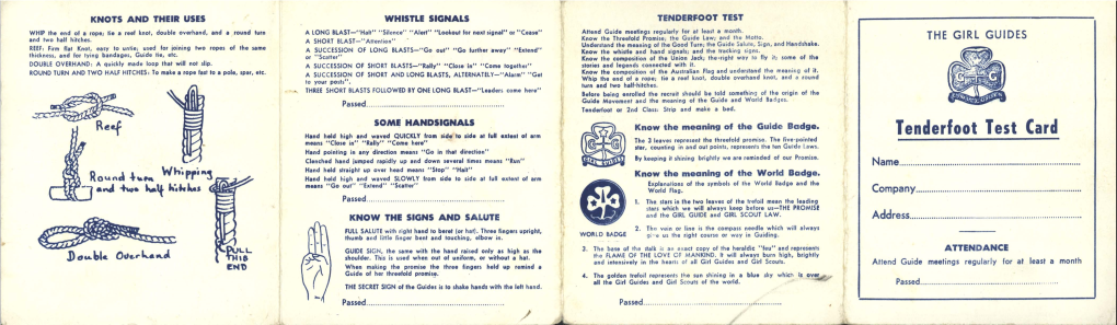 Tenderfoot Test Card 3 Leaves Represent the Threefold Promise