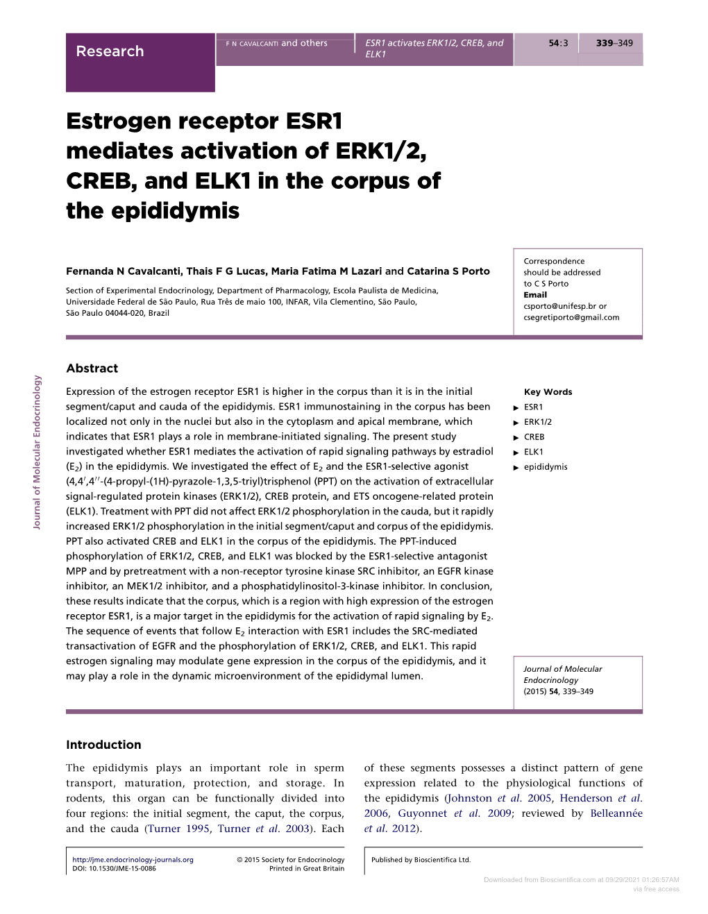 Estrogen Receptor ESR1 Mediates Activation of ERK1/2, CREB, and ELK1 in the Corpus of the Epididymis