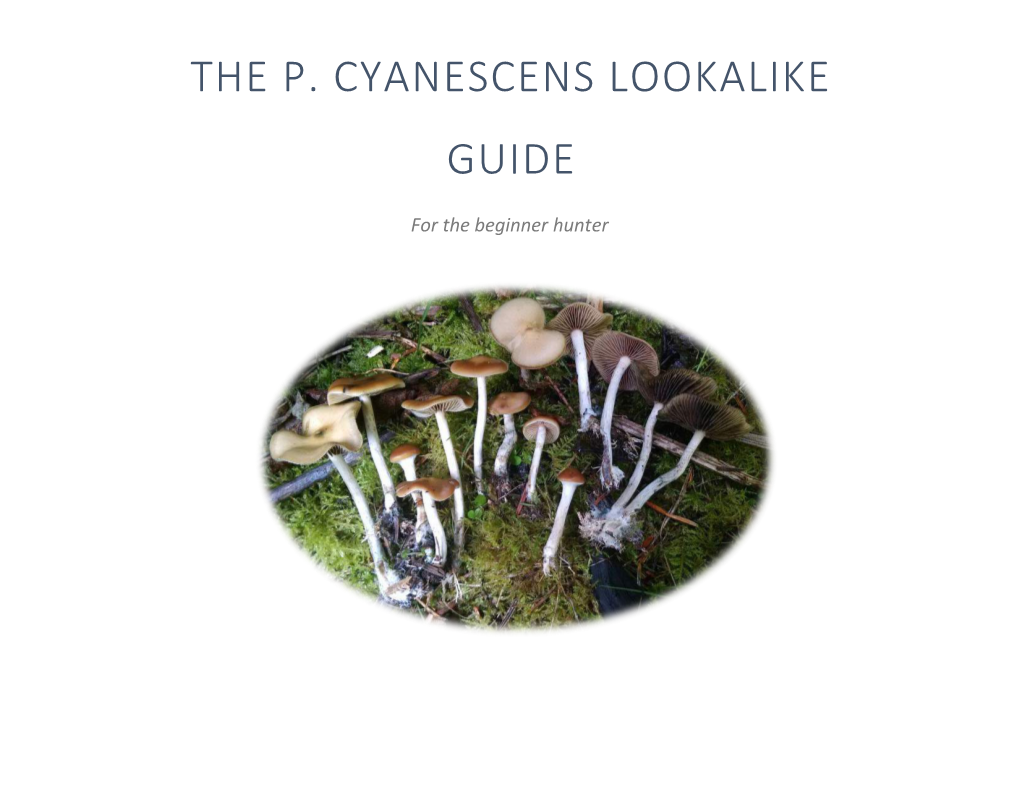 The P. Cyanescens Lookalike Guide