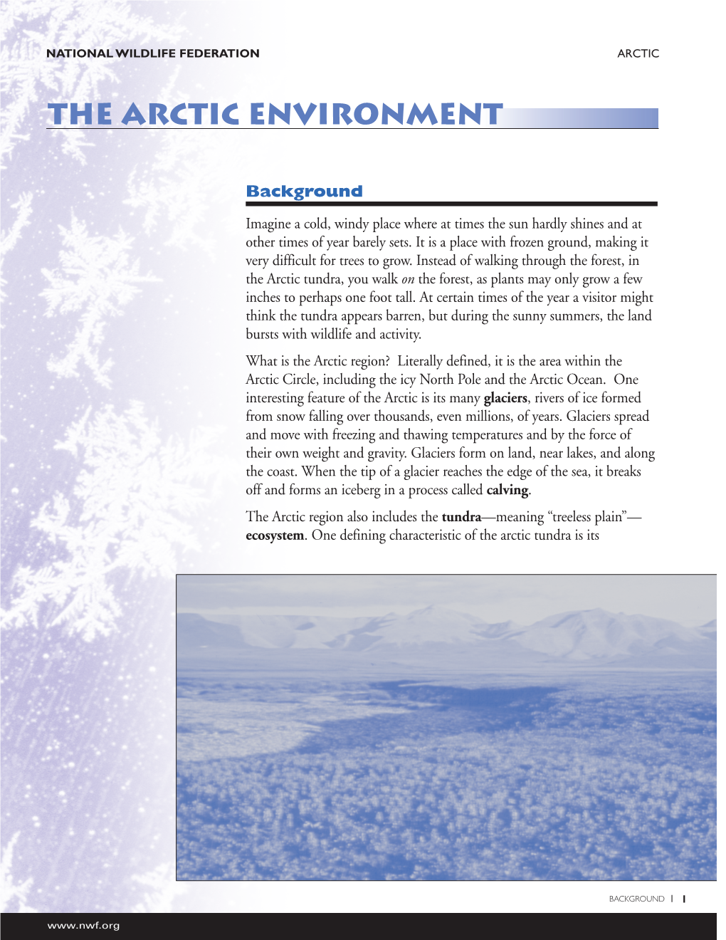 The Arctic Environment