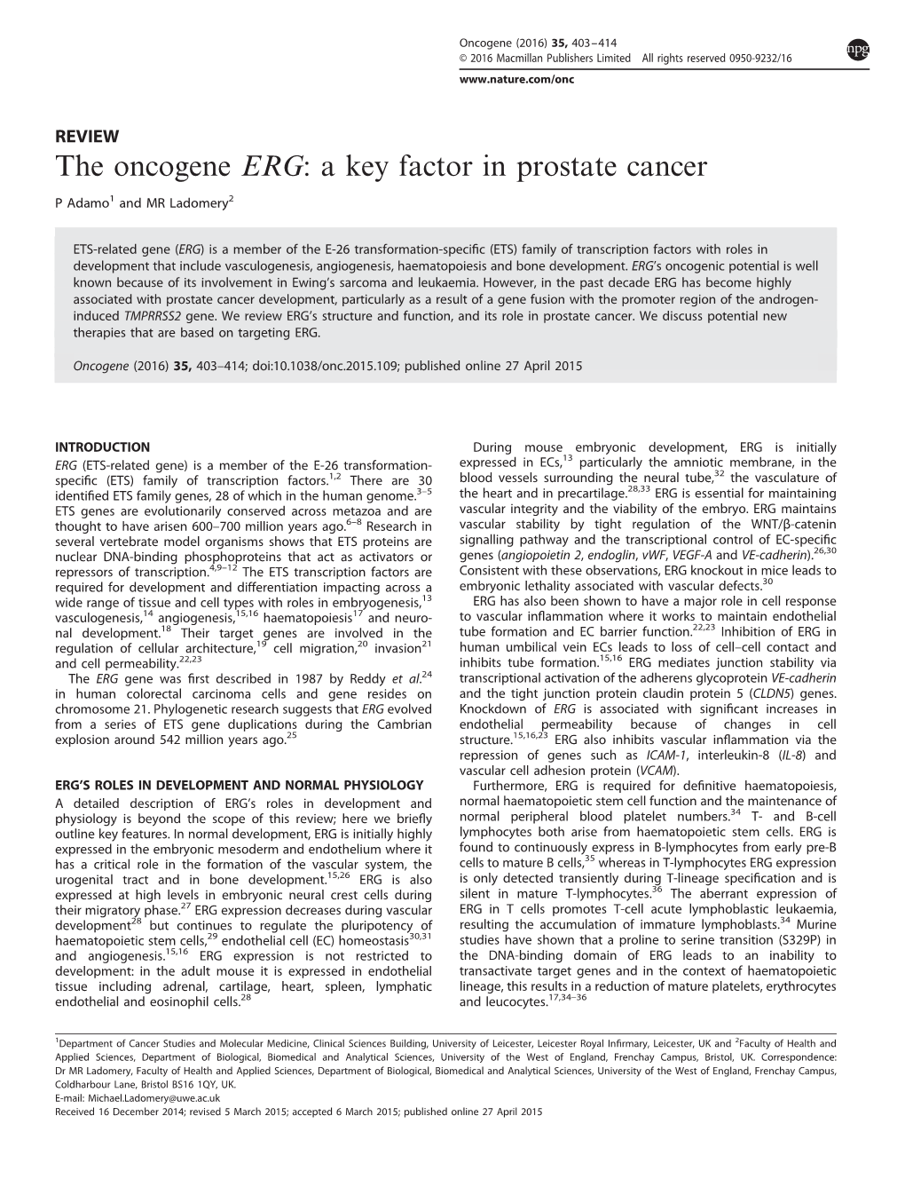 The Oncogene ERG: a Key Factor in Prostate Cancer