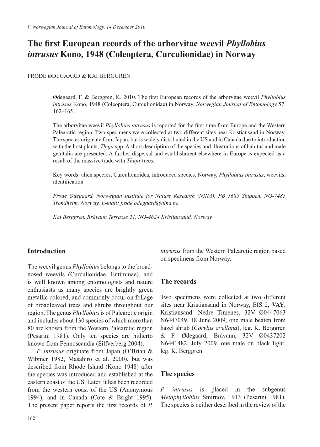 The First European Records of the Arborvitae Weevil Phyllobius Intrusus Kono, 1948 (Coleoptera, Curculionidae) in Norway