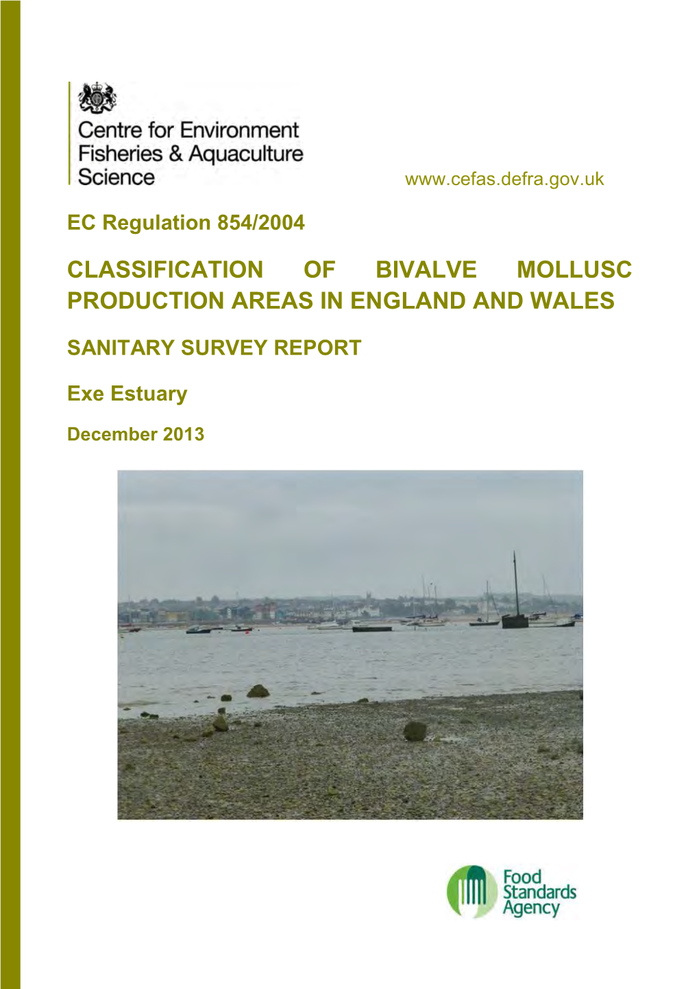 Exe Estuary (2013)