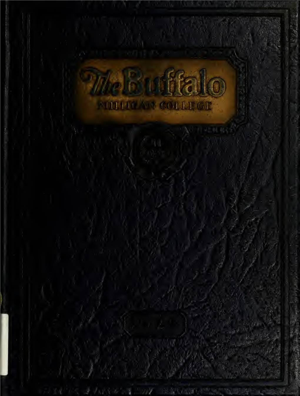 Buffalo 1928 the Annual Publication