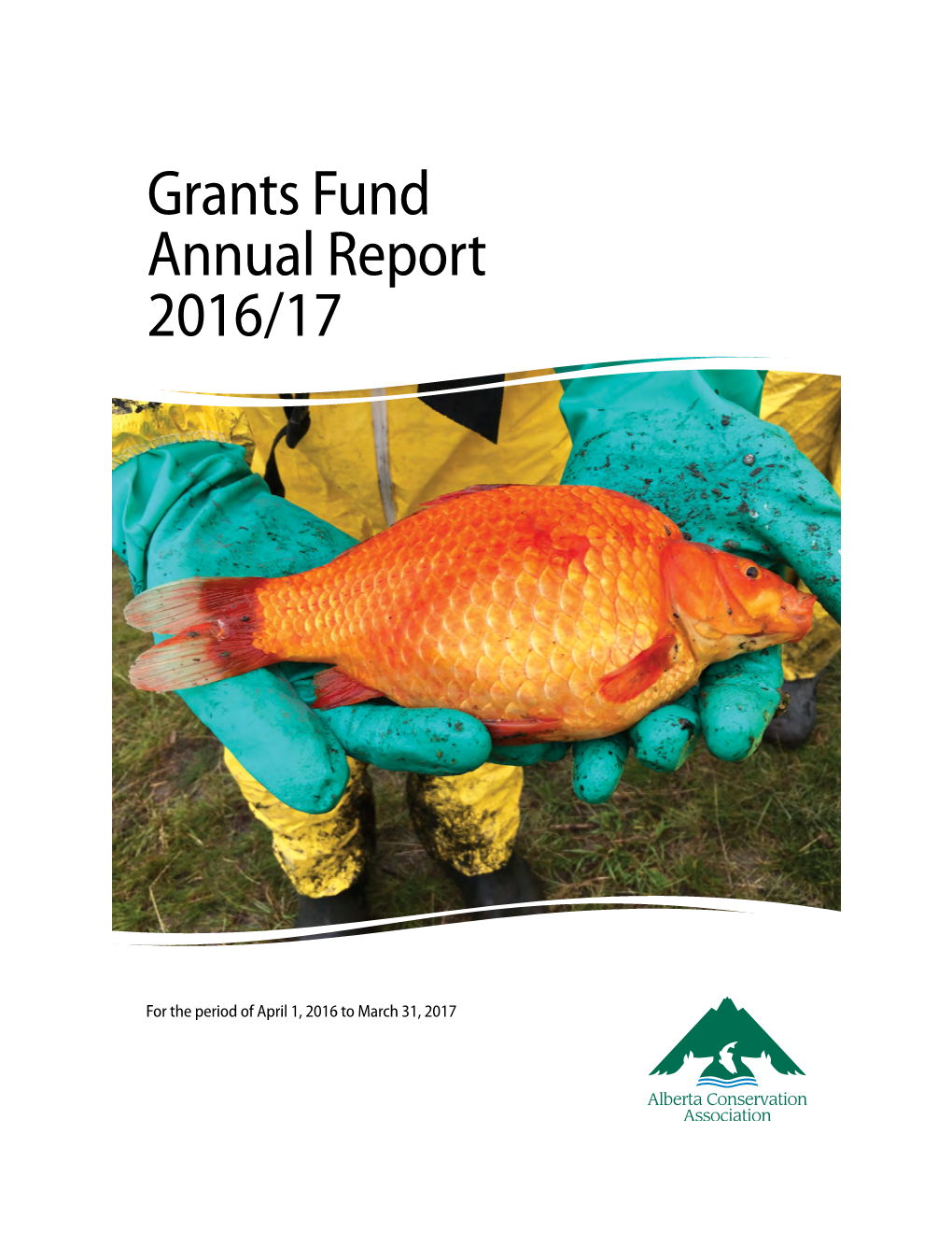 Grants Fund Annual Report 2016/17