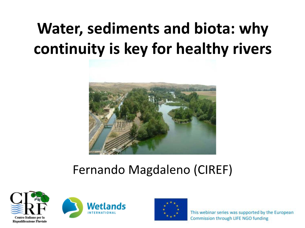 Water, Sediments and Biota: Why Continuity Is Key for Healthy Rivers