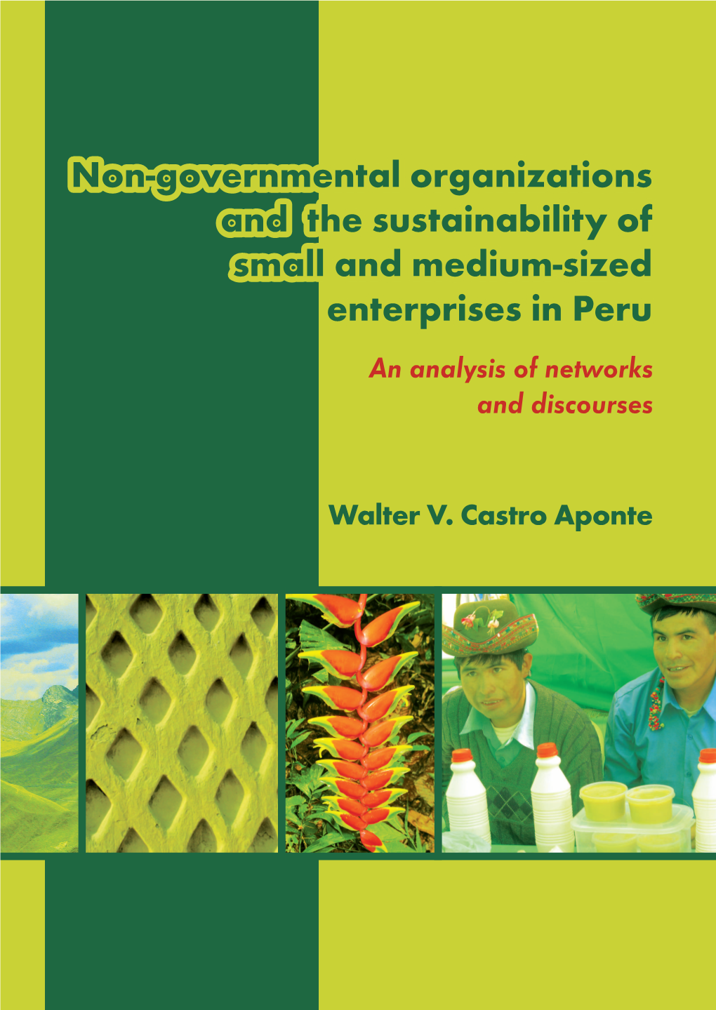 Non-Governmental Organizations and the Sustainability of Small and Medium-Sized Enterprises in Peru an Analysis of Networks and Discourses