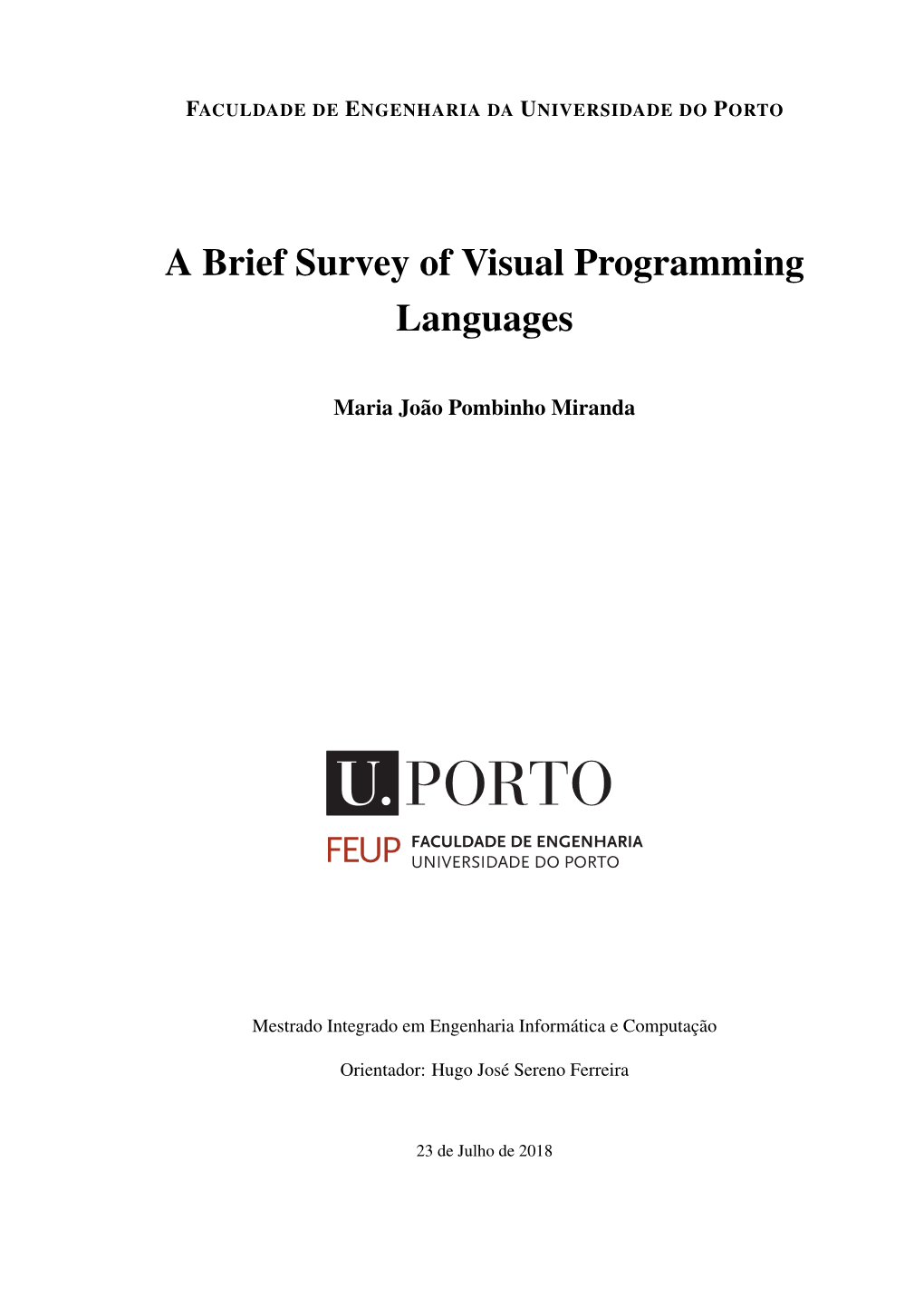 A Brief Survey of Visual Programming Languages