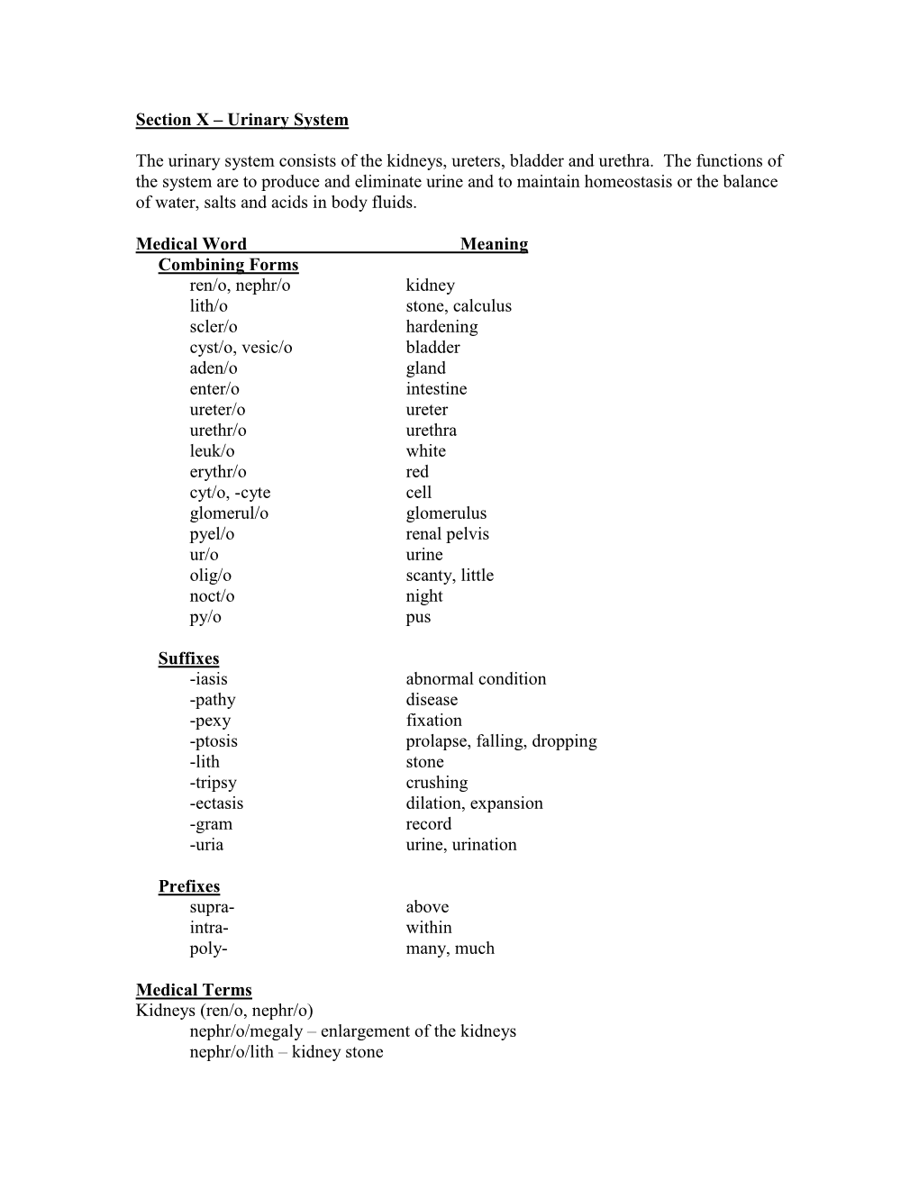 Section X – Urinary System