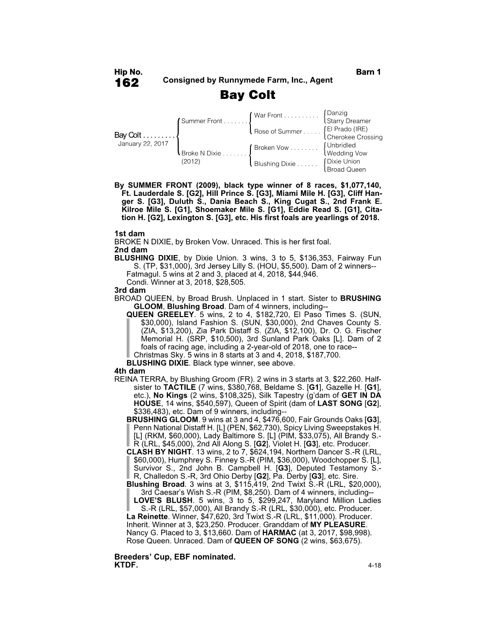 162 Consigned by Runnymede Farm, Inc., Agent Bay Colt