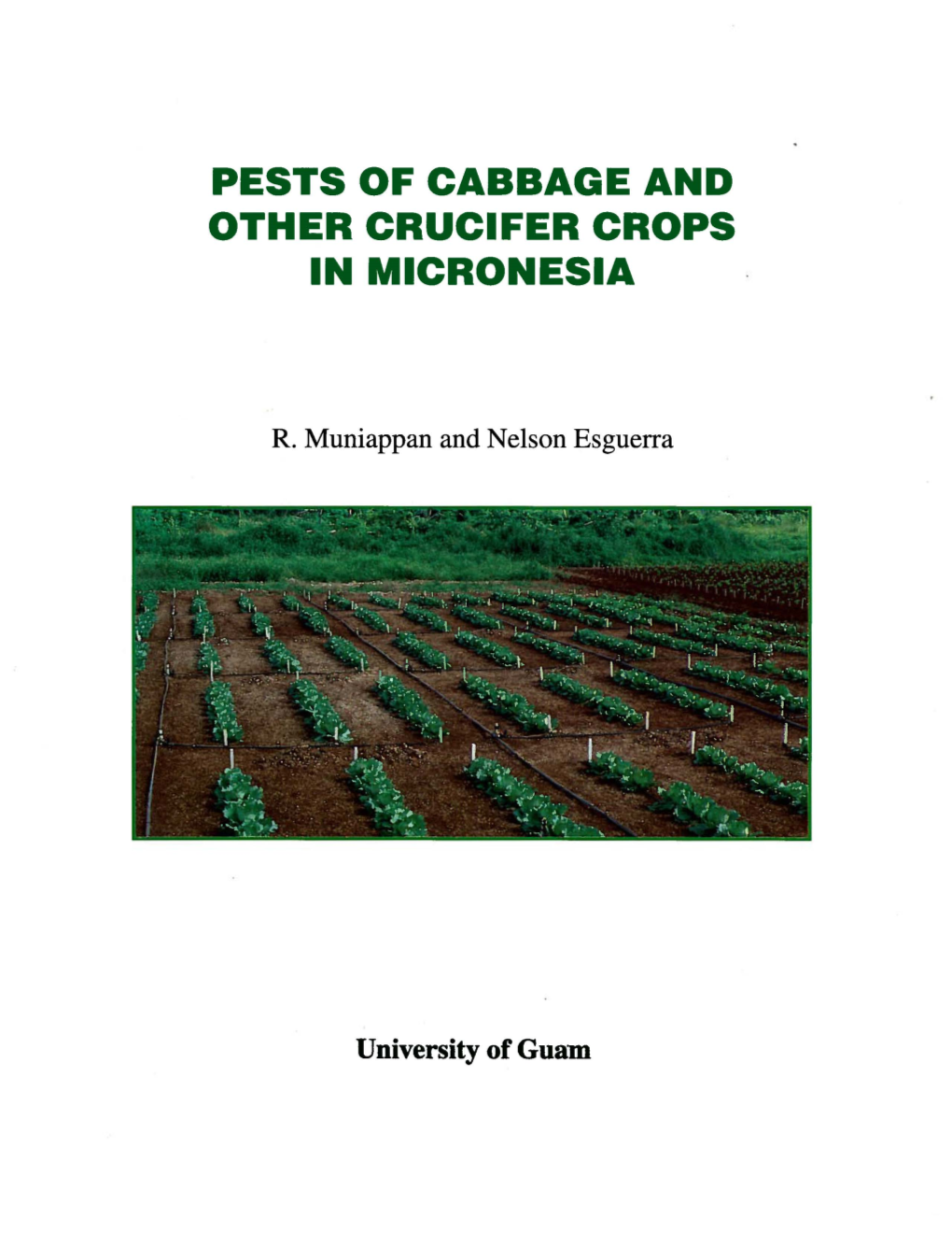 Pests of Cabbage and Other Crucifer Crops in Micronesia