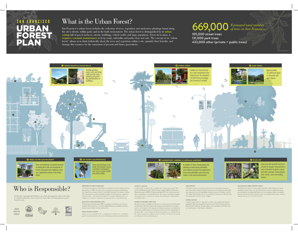 San Francisco Urban Forest Overview