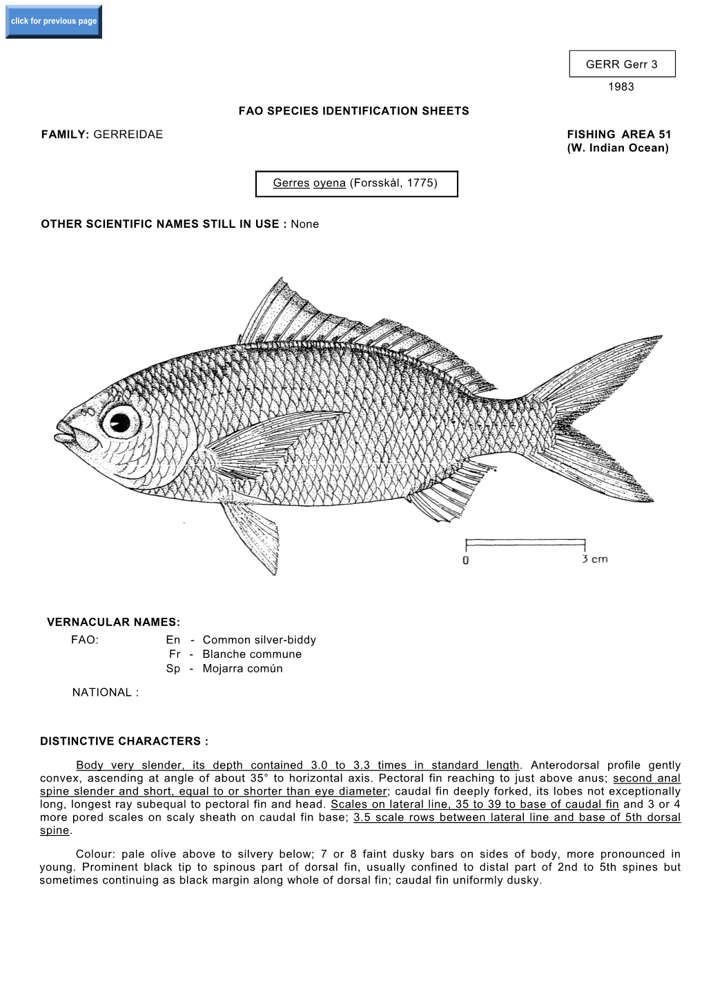 Fao Species Identification Sheets Family: Gerreidae