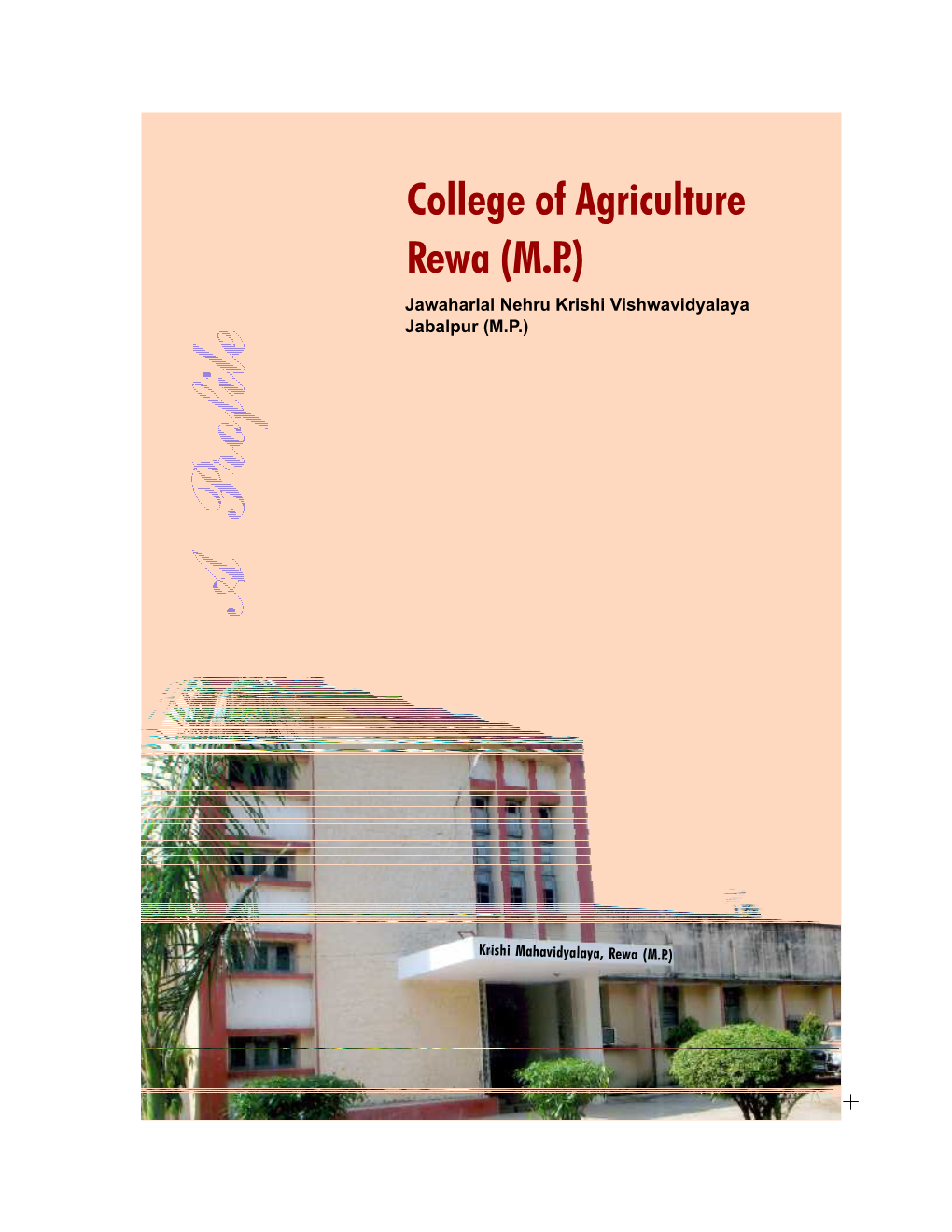 College of Agriculture Rewa (M.P.)