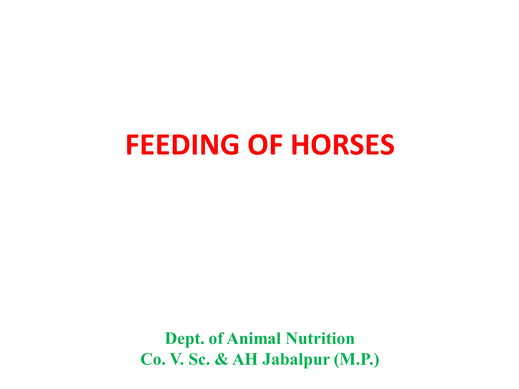 Feeding of Horses
