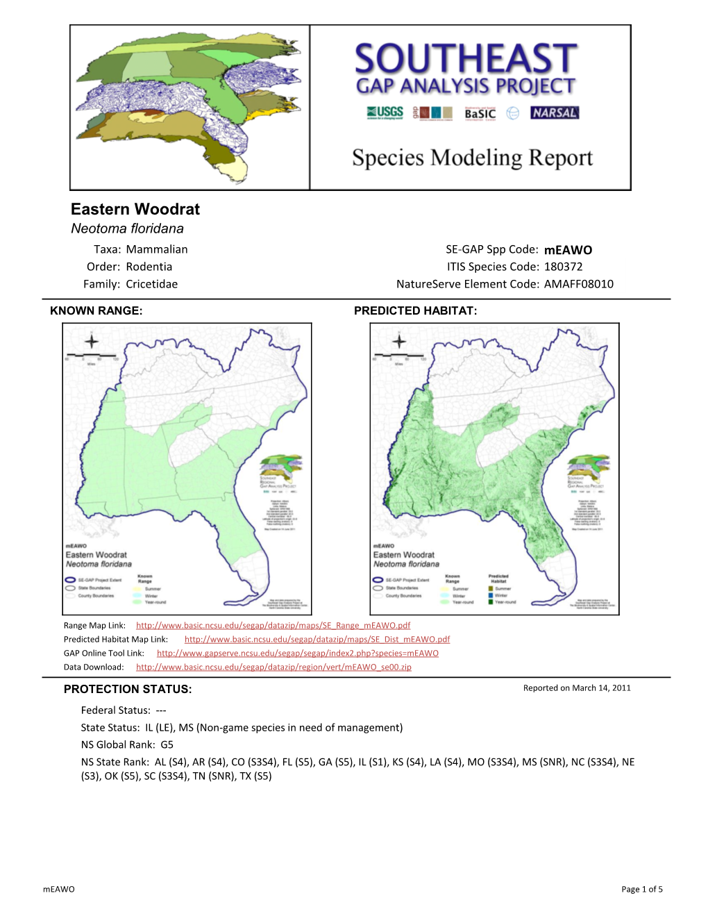 Eastern Woodrat