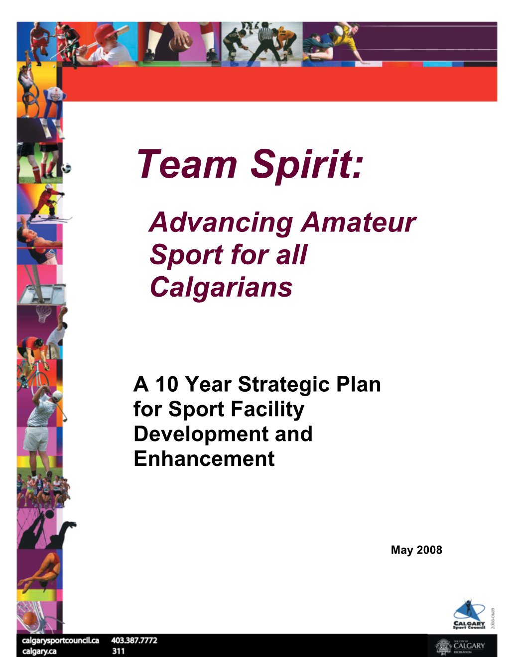 10 Year Strategic Plan for Sport Facility Development and Enhancement
