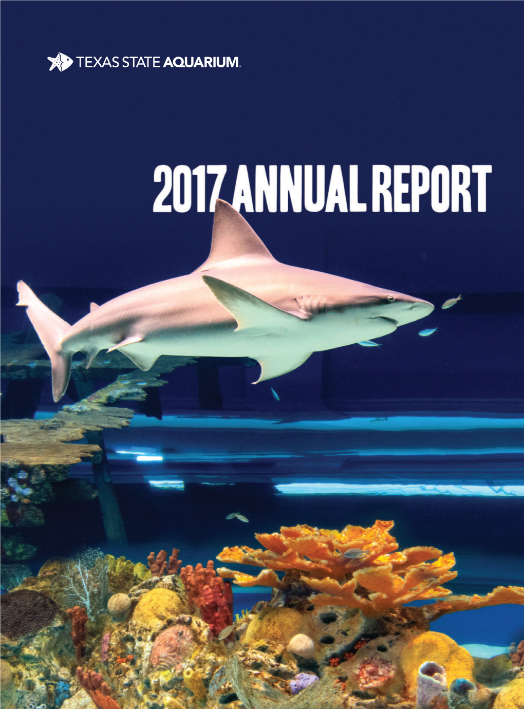2017 Annual Report Trustee Emeritus What a Year