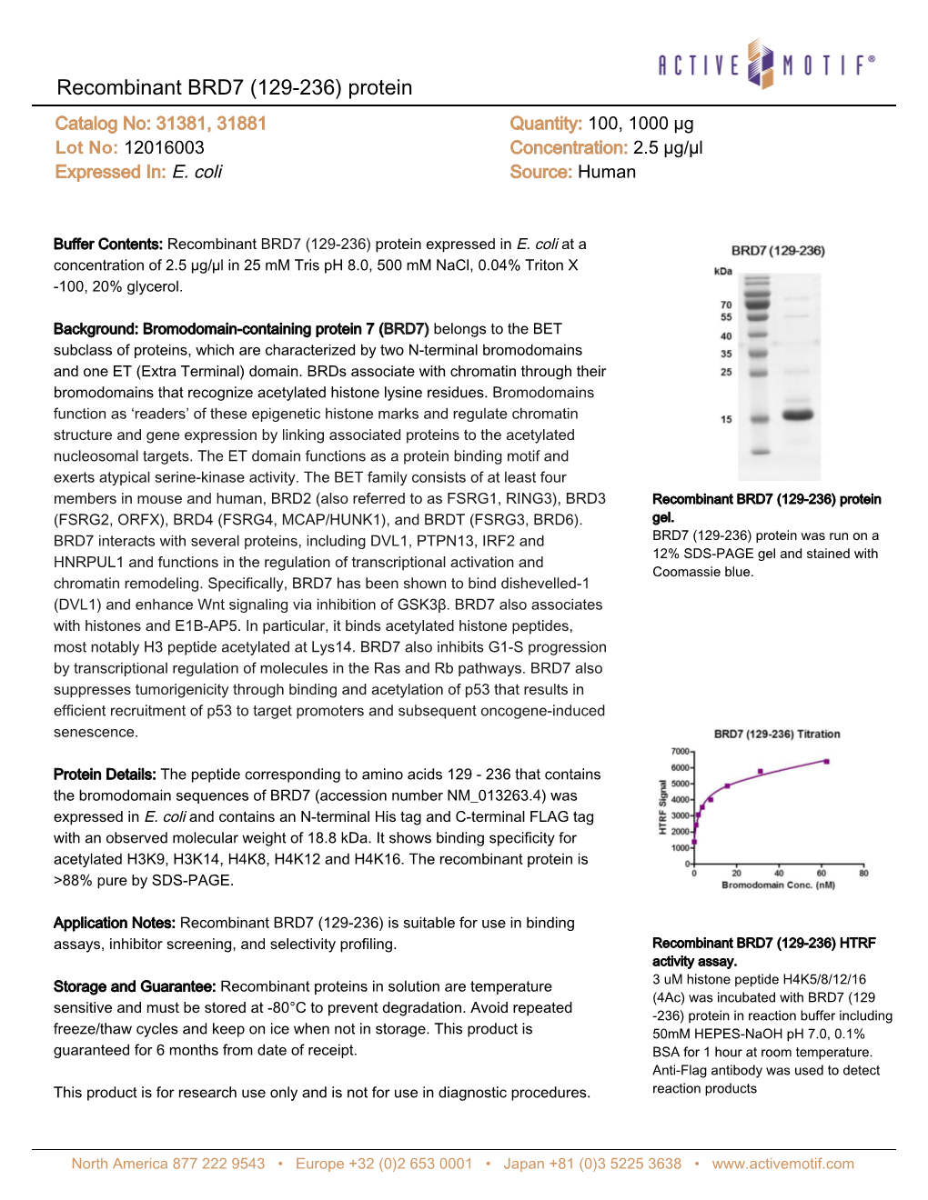 Recombinant BRD7 (129-236) Protein Catalog No: 31381, 31881 Quantity: 100, 1000 Μg Lot No: 12016003 Concentration: 2.5 Μg/Μl Expressed In: E