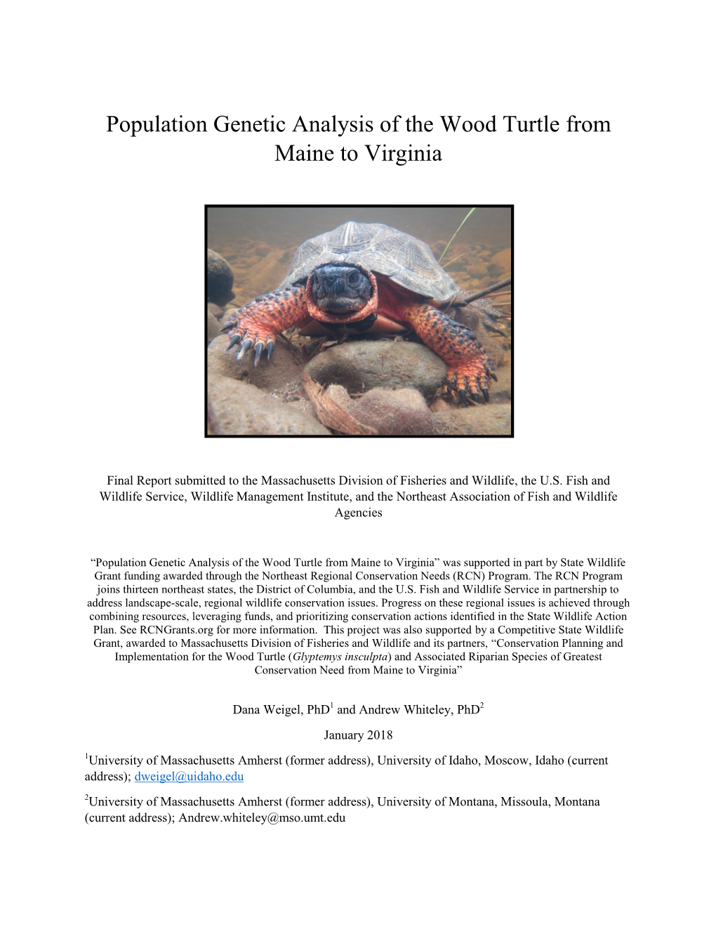 Population Genetic Analysis of the Wood Turtle from ME to VA