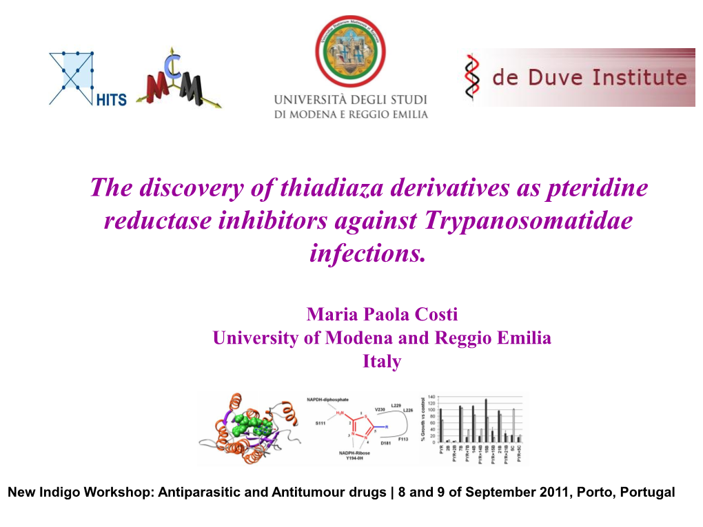 Targeting the Folate Pathway in Leishmania