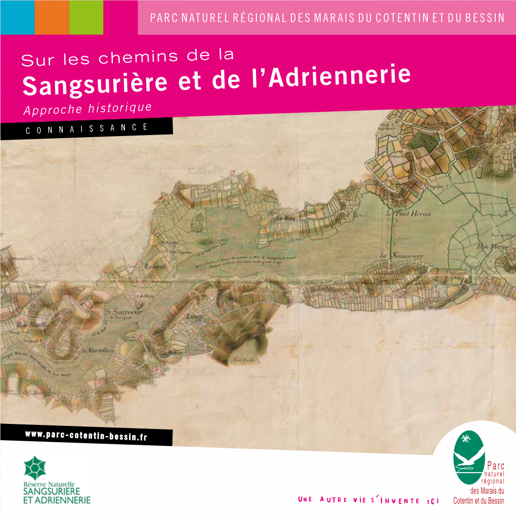 Sangsurière Et De L'adriennerie