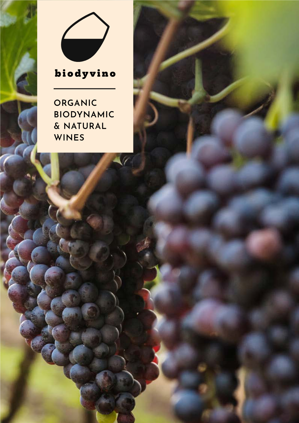 Organic Biodynamic & Natural Wines