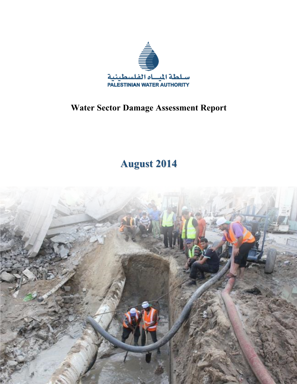 Water Sector Damage Assessment 2014.Pdf