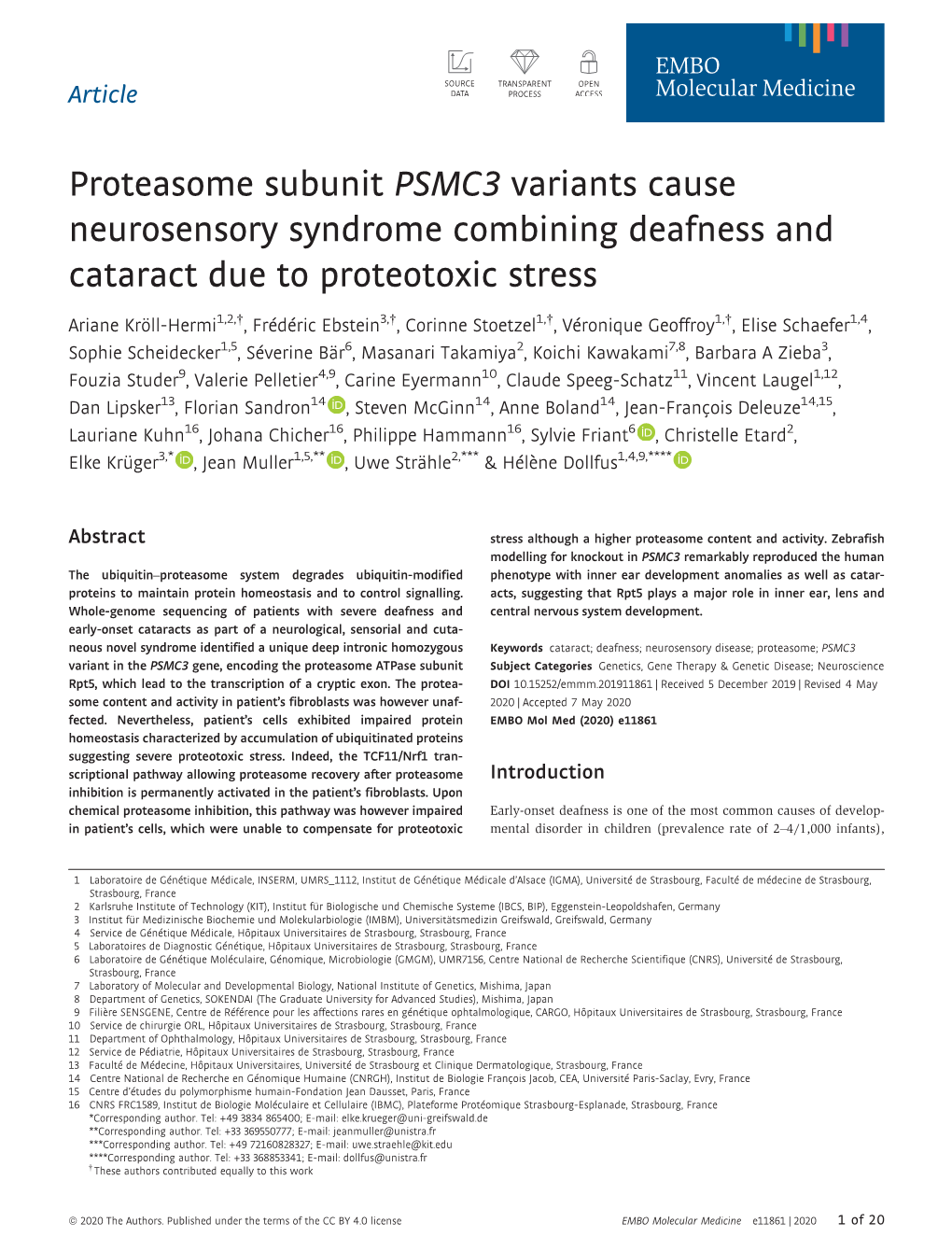 Proteasome Subunit PSMC3 Variants Cause Neurosensory Syndrome Combining Deafness and Cataract Due to Proteotoxic Stress