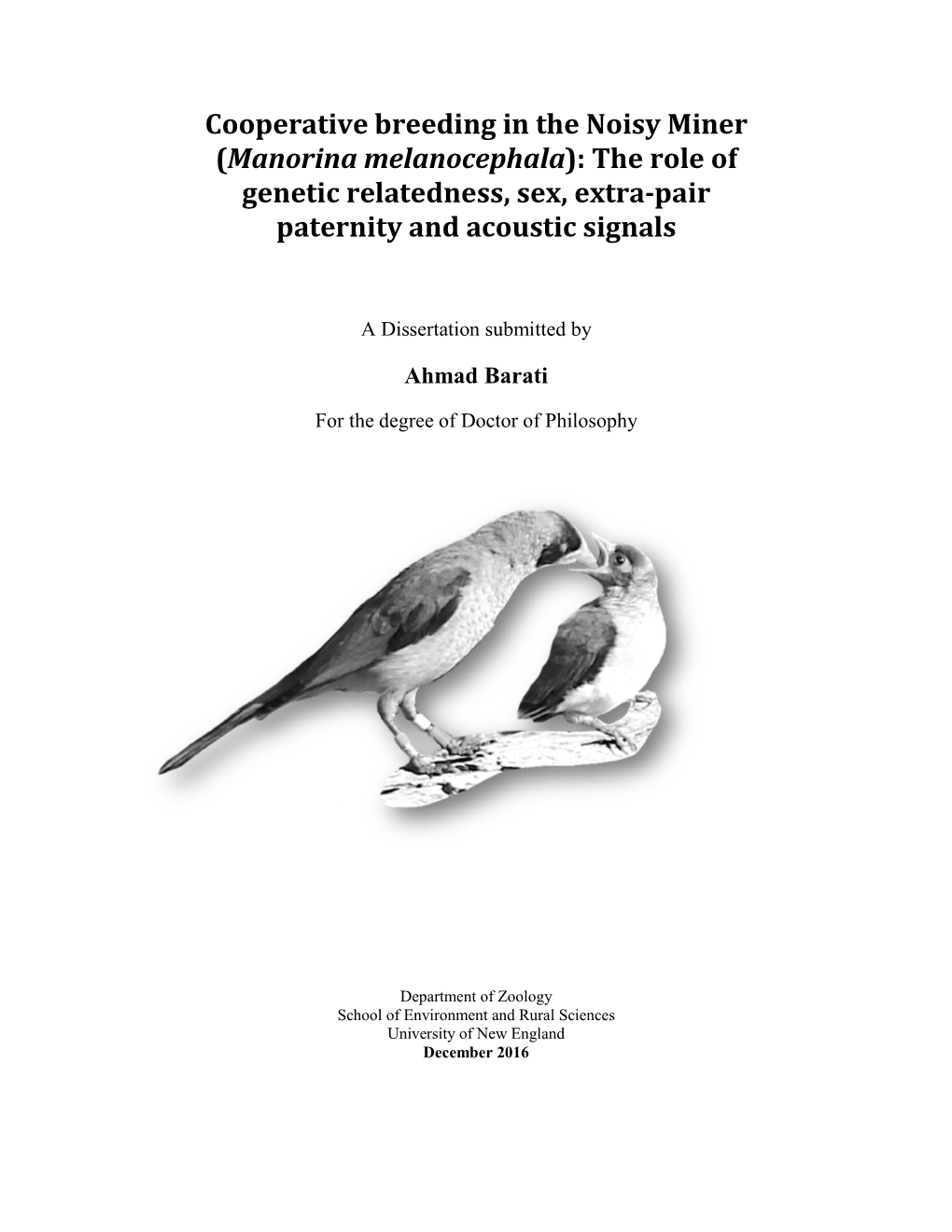 Cooperative Breeding in the Noisy Miner (Manorina Melanocephala): the Role of Genetic Relatedness, Sex, Extra-Pair Paternity and Acoustic Signals