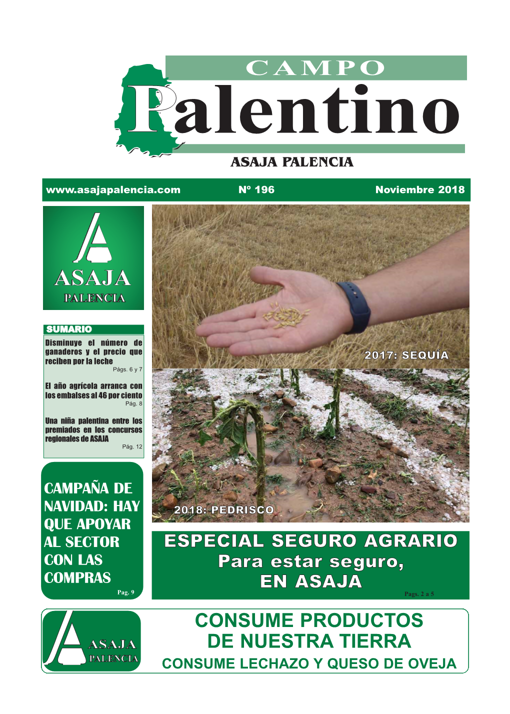 Campo Palentino Noviembre 2018