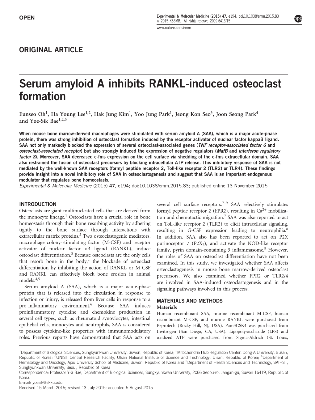 Serum Amyloid a Inhibits RANKL-Induced Osteoclast Formation