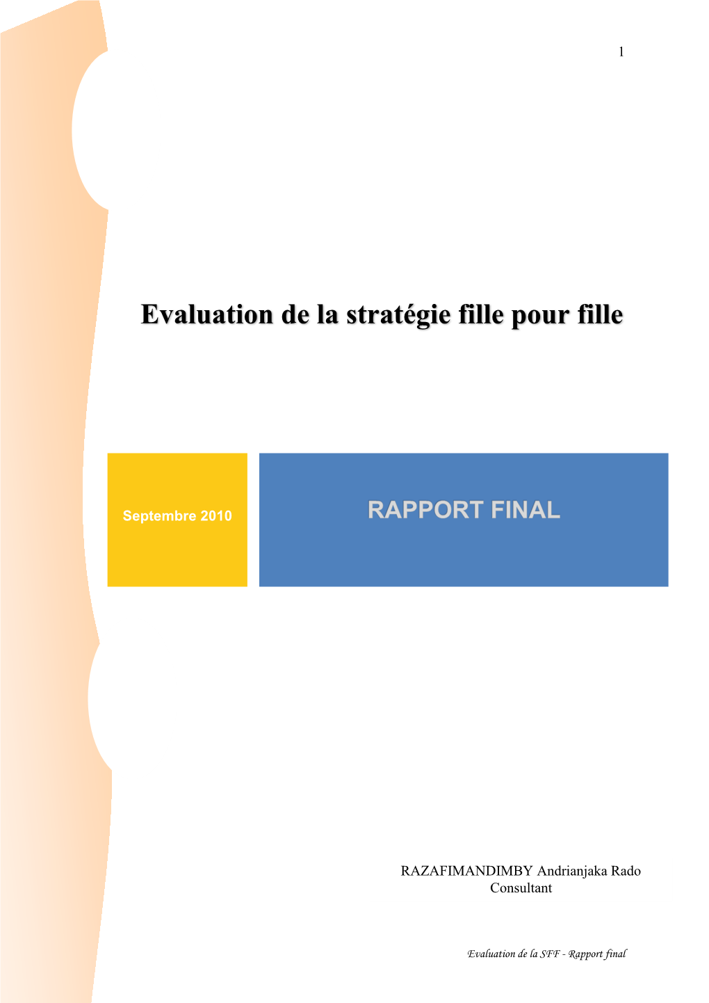 Evaluation De La Stratégie Fille Pour Fille