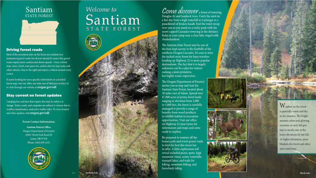 Santiam a Forest of Towering STATE FOREST Douglas-Fircome Anddiscover Hemlock Trees