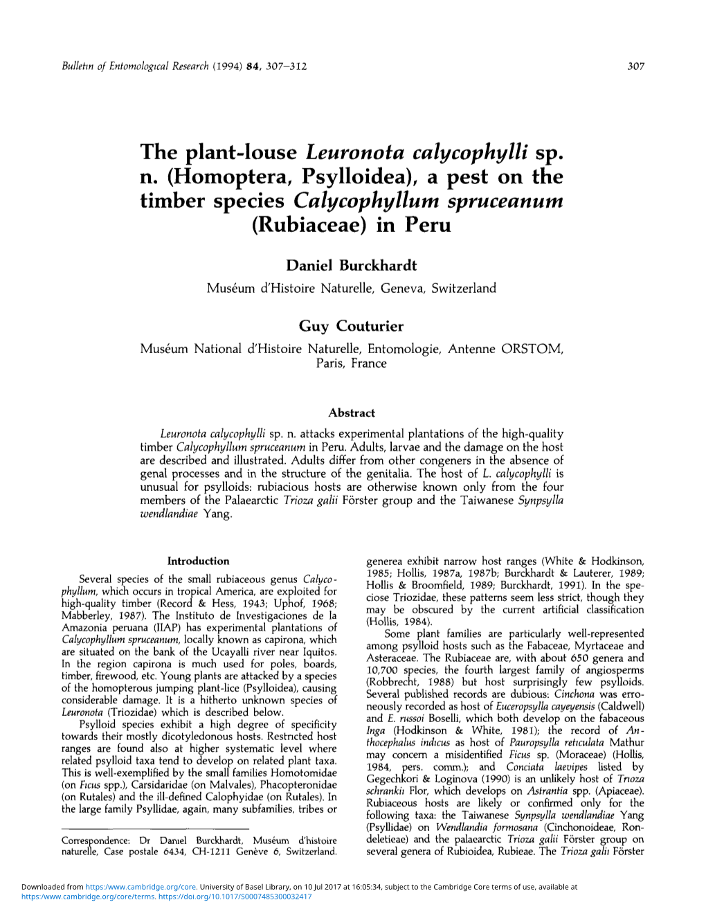 The Plant-Louse Leuronota Calycophylli Sp. N
