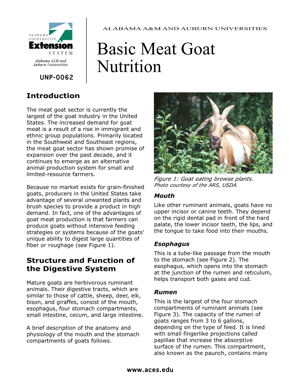 Basic Meat Goat Nutrition UNP-0062