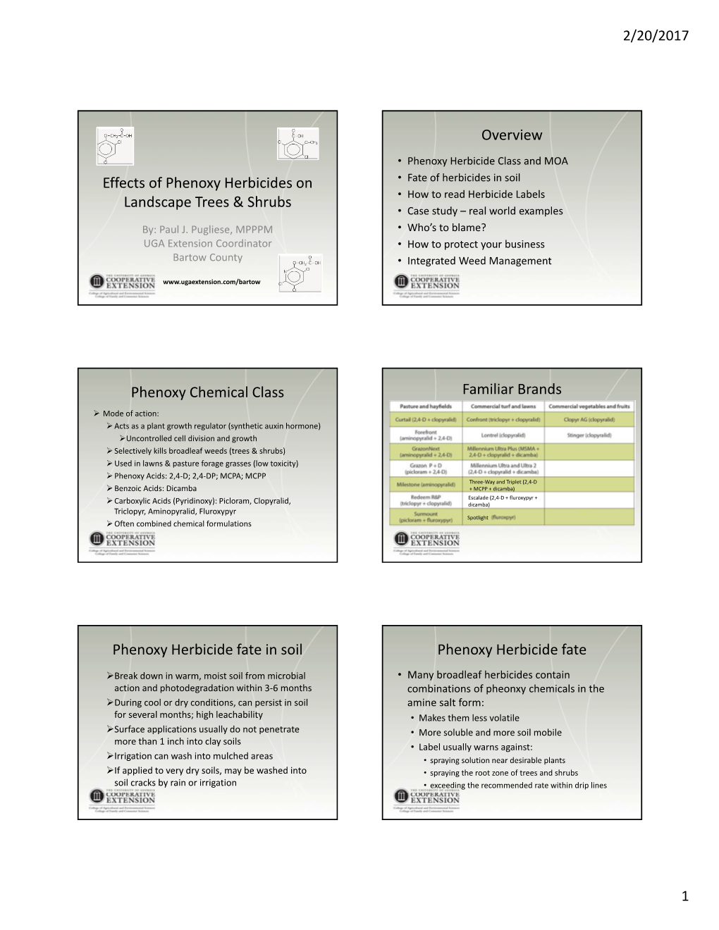 Effects of Phenoxy Herbicides on Landscape Trees & Shrubs