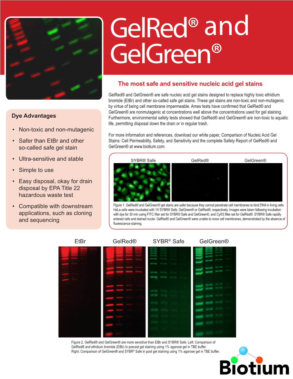 Gelred, Gelgreen & PAGE Gelred Flyer