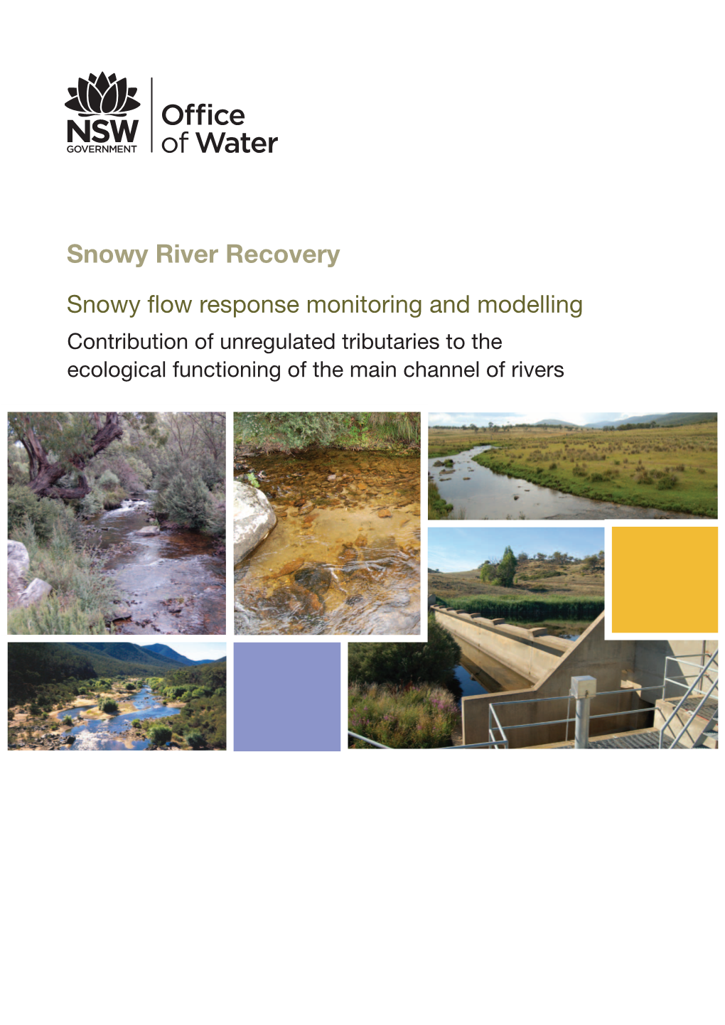 Contribution of Unregulated Tributaries to the Ecological F