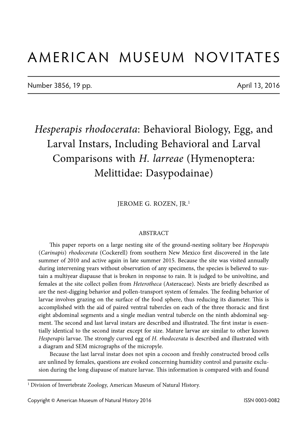 Hesperapis Rhodocerata: Behavioral Biology, Egg, and Larval Instars, Including Behavioral and Larval Comparisons with H