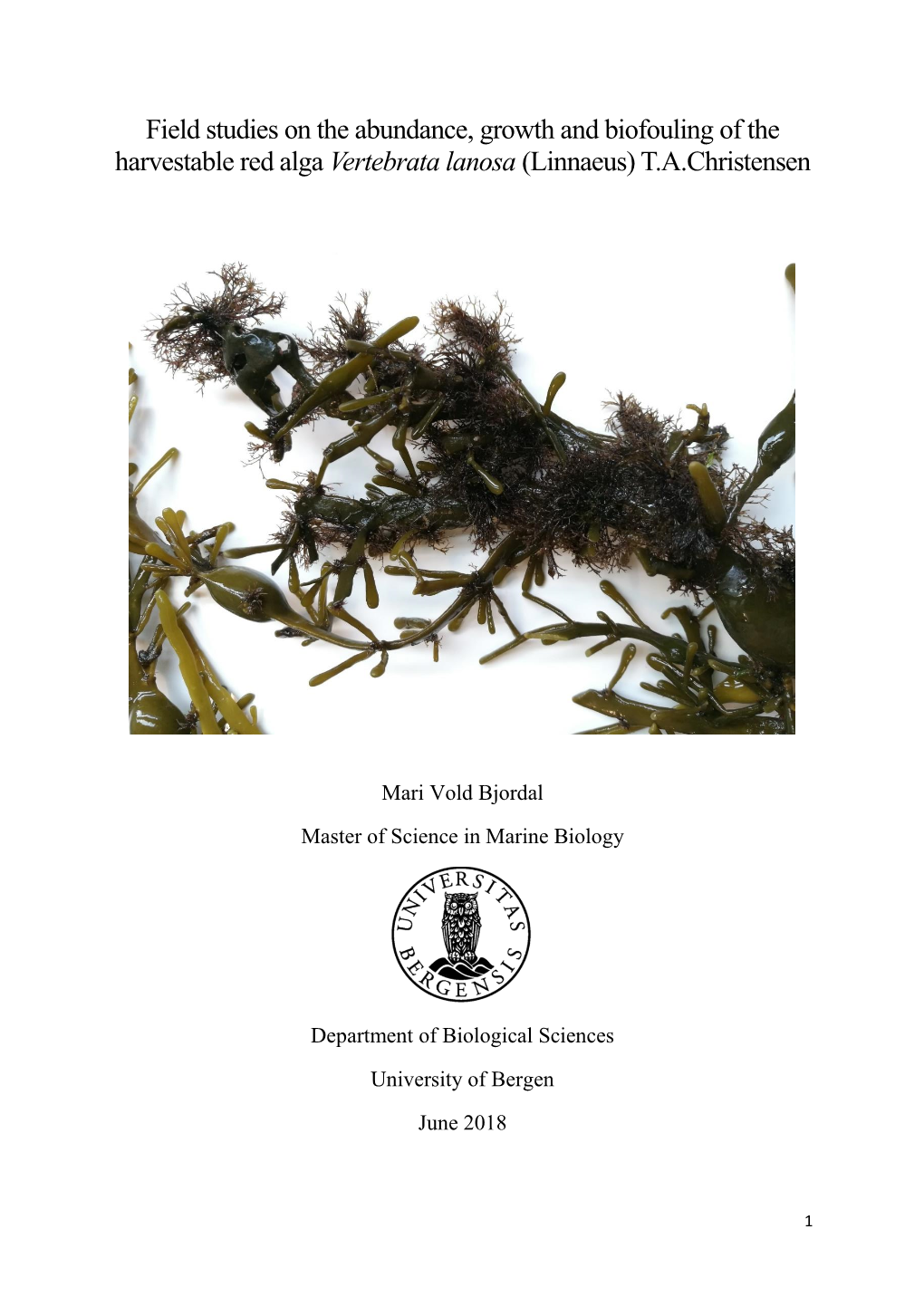 Field Studies on the Abundance, Growth and Biofouling of the Harvestable Red Alga Vertebrata Lanosa (Linnaeus) T.A.Christensen