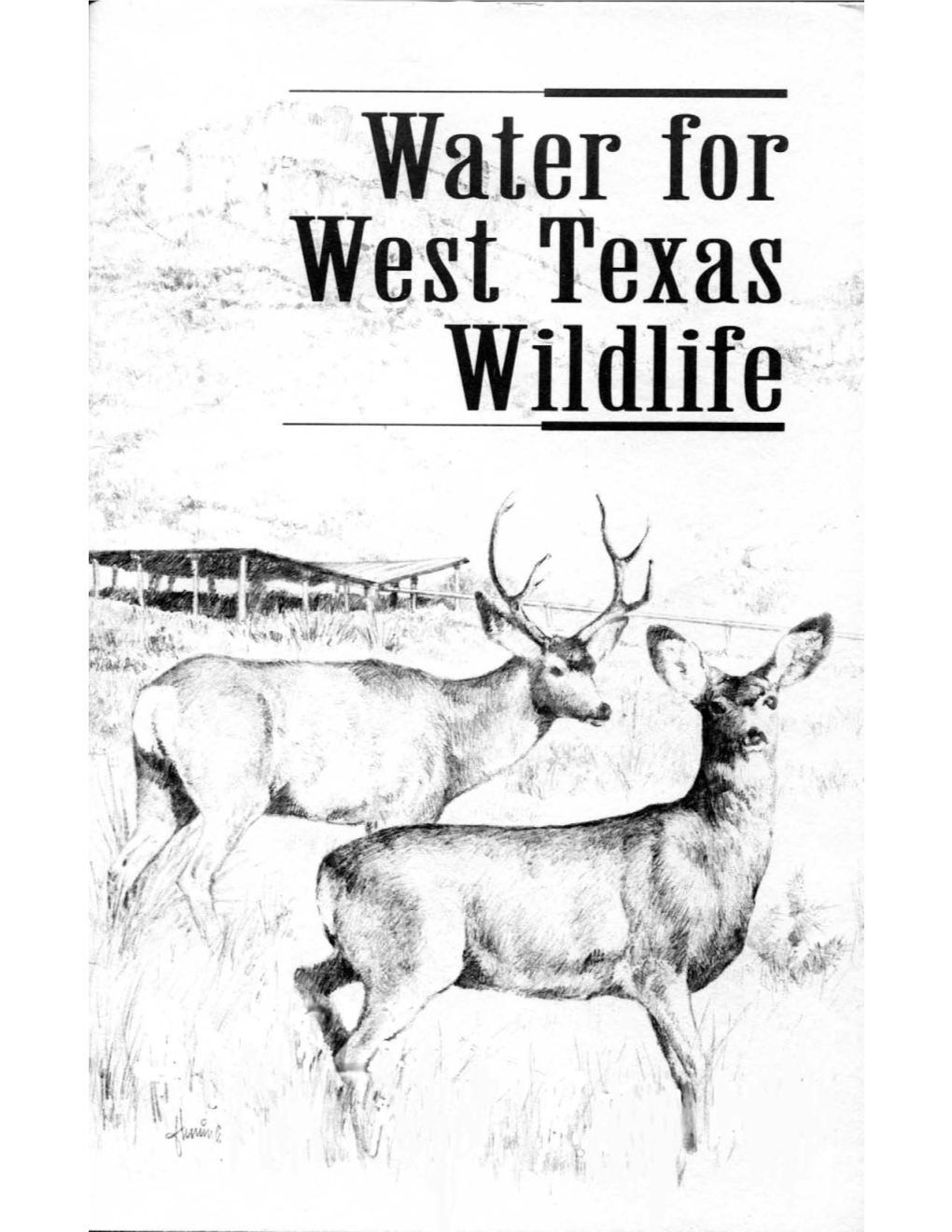 Water for West Texas Wildlife